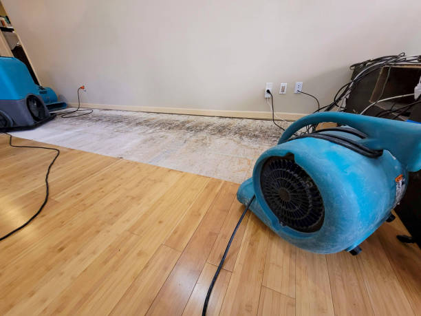 Professional Water Damage Repair technician working in South Carolina, SC